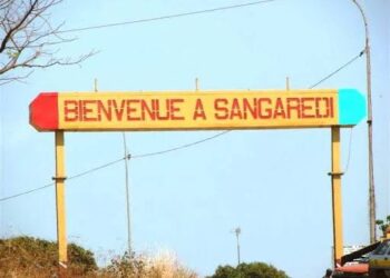 Assainissement du paysage politique en Guinée : la Ministre Djami Diallo justifie la dissolution des partis