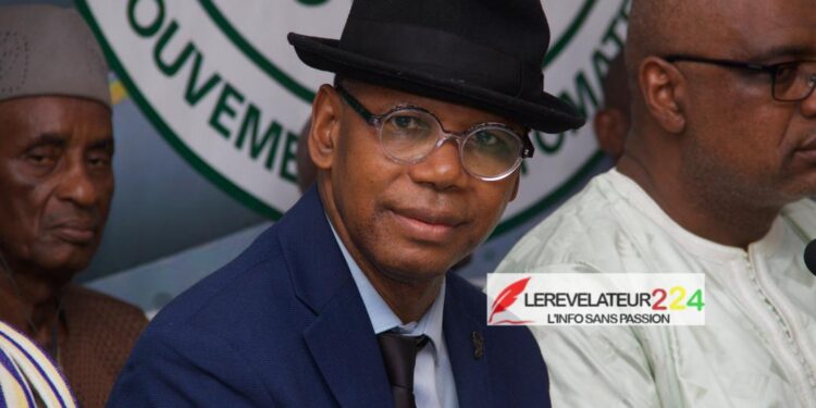 Affaire des véhicules distribués par le Ministre Ousmane Gaoual Diallo: Comprendre les faits et les responsabilités (Pr. Lamarana-Petty DIALLO)