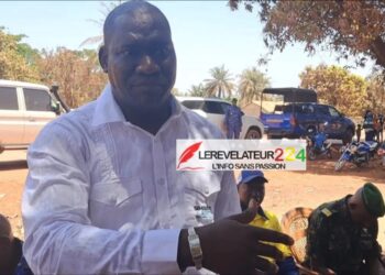 Mon amour pour la fiscalité de mon pays (Par Dr. Mamadou Aliou Bah)