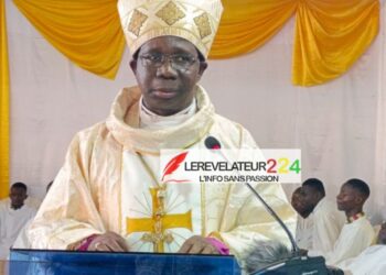 Mon amour pour la fiscalité de mon pays (Par Dr. Mamadou Aliou Bah)