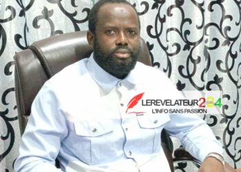 Le projet Simandou et La Faiblesse Persistante des Recettes Fiscales Non-Minières (Par Dr. Mamadou Aliou Bah)