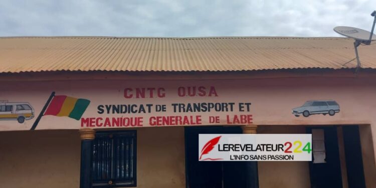 Grève des chauffeurs sénégalais : le syndicat des transports CNTG de Labé tire la sonnette d&rsquo;alarme
