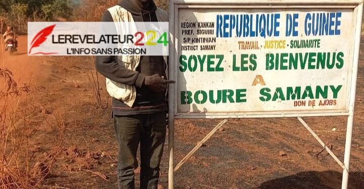 Classification des régimes d’imposition en Guinée (Par Dr. Mamadou Aliou Bah)