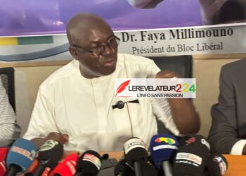Double scrutin législatif et communal : Dr Faya Millimouno dénonce une commission électorale “unilatérale” et des coûts de participation “exorbitants