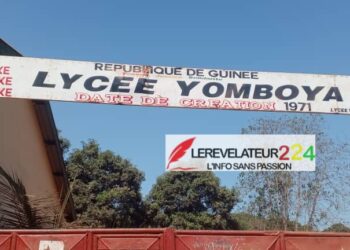 Sécurité au Sahel : Faya Millimouno lie le terrorisme à “l’échec des choix politiques”