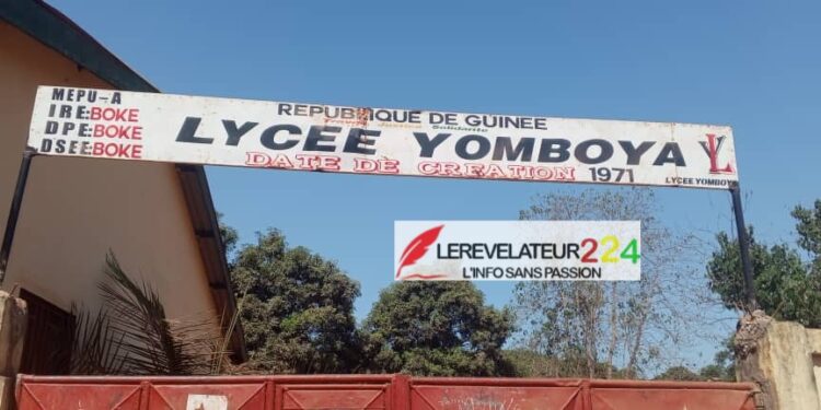 Sécurité au Sahel : Faya Millimouno lie le terrorisme à “l’échec des choix politiques”