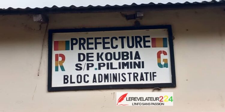 L’administration fiscale face à la réalisation de l’eau et l’électricité en Guinée (Par Dr. Mamadou Aliou Bah)
