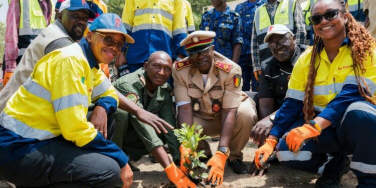 Rio Tinto Guinée transfère la pépinière communautaire de Dantilia à la communauté locale (Communiqué)