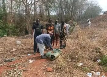 KINDIA : un incendie ravage les bambous du voile de la mariée, les responsables dénoncent un possible sabotage