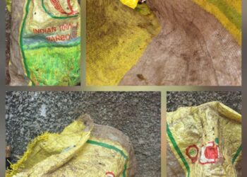 Gestion des déchets ménagers à Conakry: Nécessité de réformer les contrats de précollecte PME–ménages