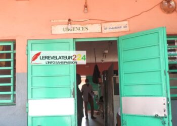 Législatives et Communales : véritable démonstration de force de l’alliance RGT-GMD à Kintigna et Franwaliyah