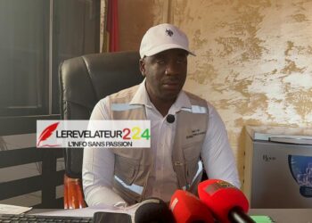 Législatives 2026 : l’alliance GMD-UMP quadrille méthodiquement la région de Boké