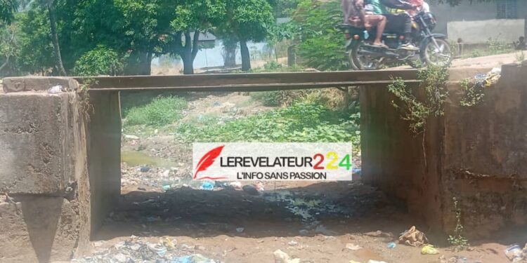 KINDIA : le pont Kenendé-Abattoir, dans un état de « délabrement avancé », sous les regards impuissants des habitants