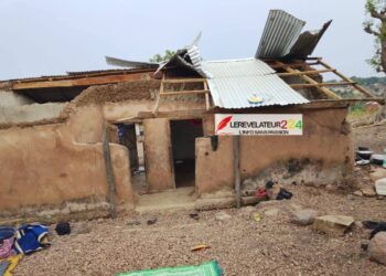 Médias et changement climatique : la 2ème édition de la REJAC lancée à Conakry