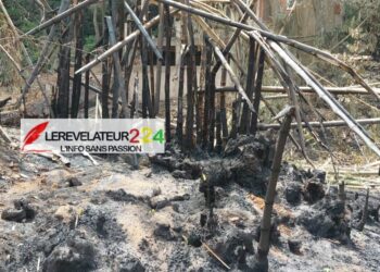 KINDIA : un incendie ravage les bambous du voile de la mariée, les responsables dénoncent un possible sabotage