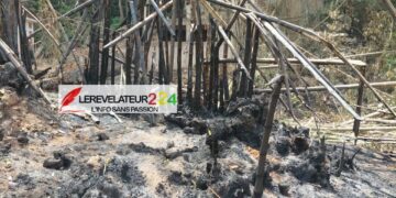 KINDIA : un incendie ravage les bambous du voile de la mariée, les responsables dénoncent un possible sabotage