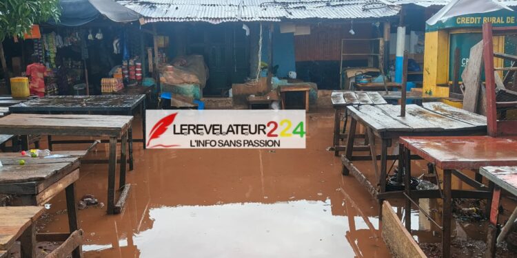 Premières pluies à Boké : le marché Tamakènè sous les eaux