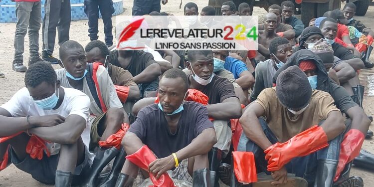 2ᵉ Journée de la 86ᵉ édition de la Grande Mamaya de Kankan : le DALIBA à l’honneur