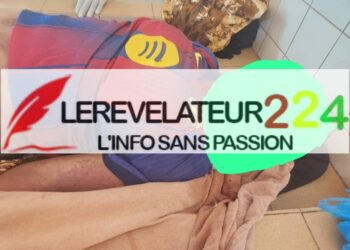 Vente de viande impropre à la consommation à Labé : le président des bouchers et deux autres personnes placées sous mandat de dépôt