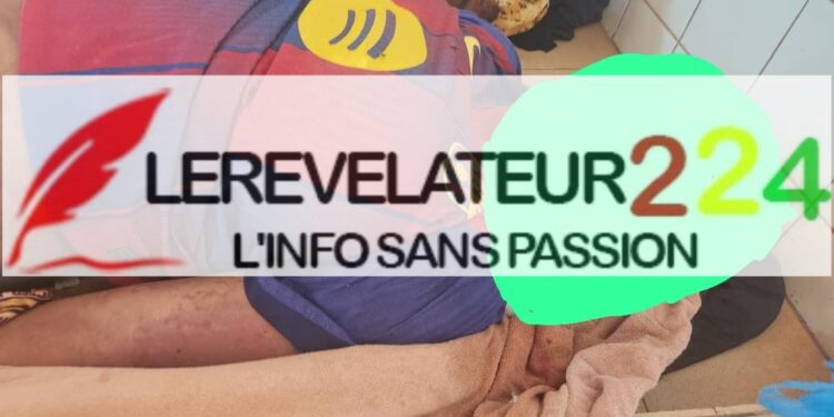 Vente de viande impropre à la consommation à Labé : le président des bouchers et deux autres personnes placées sous mandat de dépôt