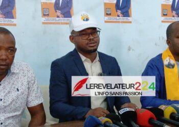 Lettre ouverte aux Contribuables : la démotivation des agents de la DGI (Par Dr. Mamadou Aliou Bah)