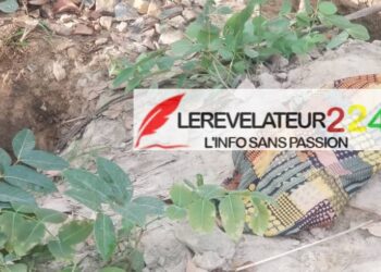 SIGUIRI : nouvelle tournure dans l&rsquo;affaire de machines poclains…