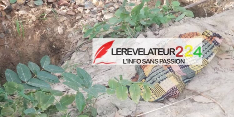 SIGUIRI : nouvelle tournure dans l’affaire de machines poclains…