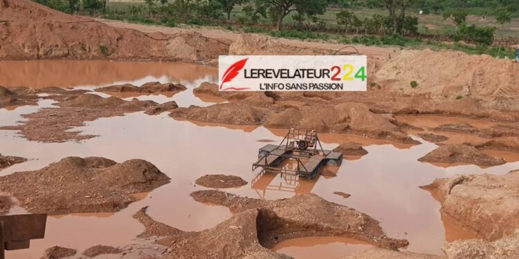 Scandale environnemental à Siguiri : Près de 100 arrestations, dont des ressortissants étrangers, la CRIEF et la Cour d&rsquo;appel frappent fort