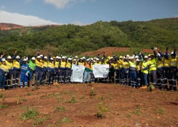 Rio Tinto SimFer célèbre la Journée mondiale de l&rsquo;environnement (Communiqué)