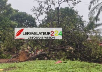 SANGAREDI : Une violente tornade endommage gravement le Lycée Général Lansana Conté