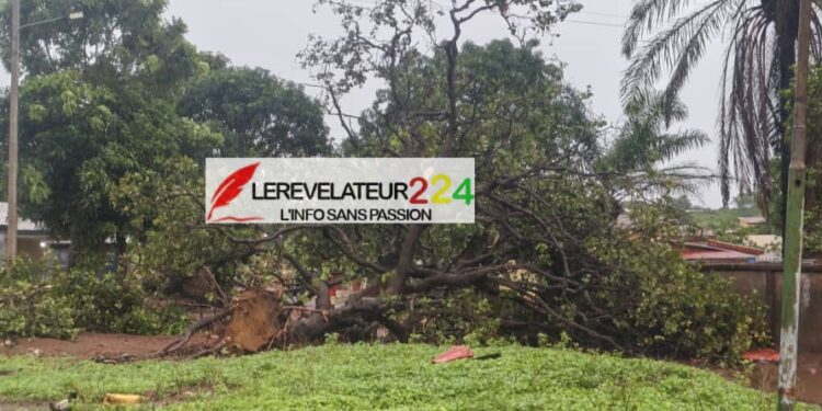 SANGAREDI : Une violente tornade endommage gravement le Lycée Général Lansana Conté