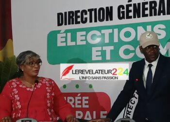 Faible affluence dans les bureaux de vote : la directrice générale des élections s&rsquo;explique et assume les critiques