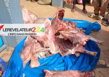 Vente de viande impropre à la consommation à Labé : le président des bouchers et deux autres personnes placées sous mandat de dépôt