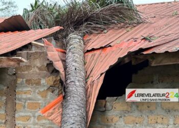 BOFFA : les violentes intempéries plongent plusieurs villages de Mankountan dans le désarroi