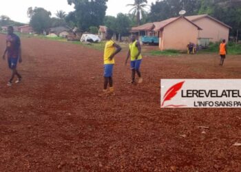 Les perspectives d’évolution de la Politique fiscale et des techniques fiscales utilisées dans le secteur minier en Guinée (Par Dr. Mamadou Aliou Bah)