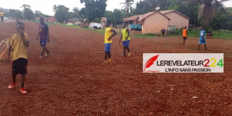 Les perspectives d’évolution de la Politique fiscale et des techniques fiscales utilisées dans le secteur minier en Guinée (Par Dr. Mamadou Aliou Bah)
