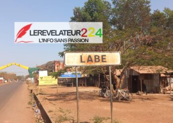 CYBERCRIMINALITE : Lutter contre la fraude et l’évasion fiscales sur les numériques (Par Dr. Mamadou Aliou Bah)