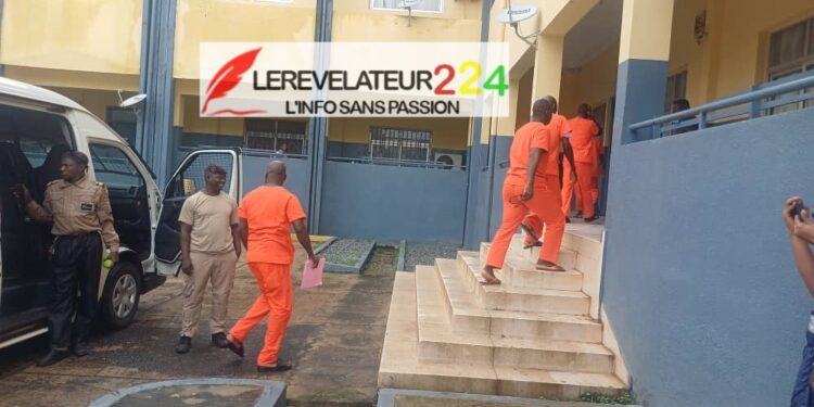 Bac 2026 à Kindia : la Cour d’appel de Conakry ordonne la libération immédiate des élèves fraudeurs