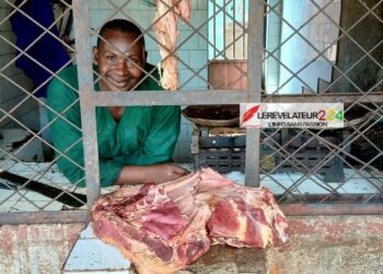 Guinée – ECO, la souveraineté monétaire à l’épreuve des réalités économiques (Par Mohamed Lamine Camara Molac)