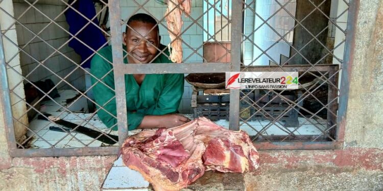 Guinée – ECO, la souveraineté monétaire à l’épreuve des réalités économiques (Par Mohamed Lamine Camara Molac)