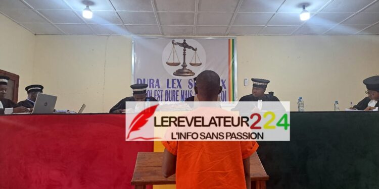 TPI de Labé : des peines de 3 et 4 ans de prison ferme pour viol et tentative de viol sur mineures