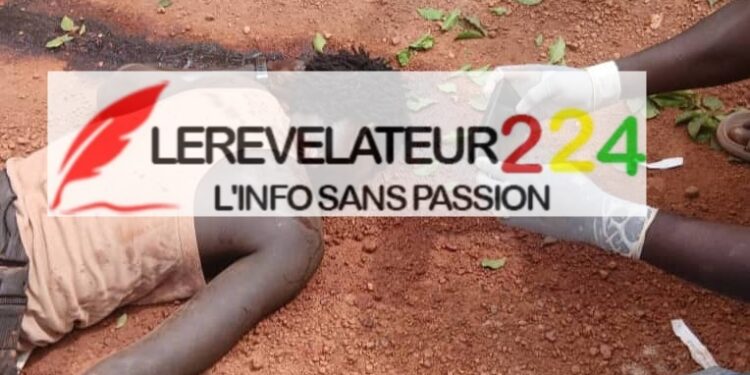 Bouré-Kintinian: un jeune égorgé sur la route de Kamatiguia
