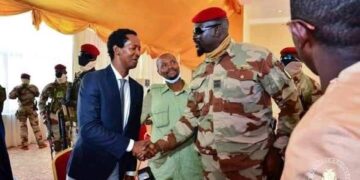 Et maintenant, place au Sénat ! (Par Alpha Abdoulaye Diallo)