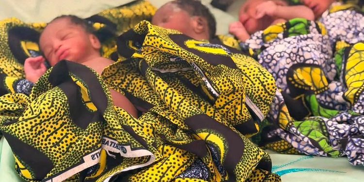 KANKAN : une mère donne naissance à des quadruplés par voie basse et sollicite le soutien des autorités
