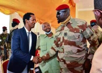 Nous ne jurons que sur la Constitution (Par Alpha Abdoulaye Diallo)