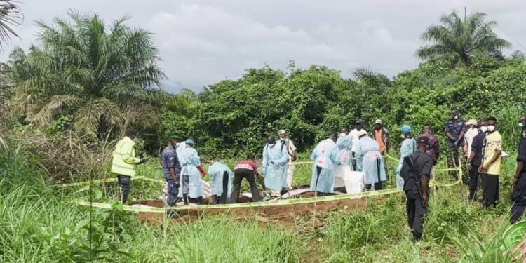 Forécariah : 6 corps retrouvés les mains liées, TLP-Guinée dénonce et réclame une enquête indépendante