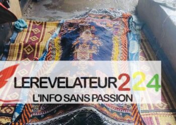 Dionfo (Labé) : un jeune homme meurt par noyade dans un marigot