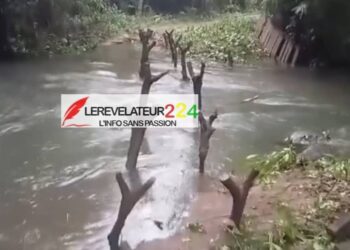 BOKE : un pont emporté par les pluies, les habitants de Tantchelèk lancent un appel aux autorités