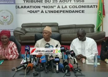 KINDIA : plus de 150 kg de chanvre indien saisis, un suspect interpellé
