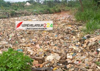 N&rsquo;Zérékoré : l&rsquo;appel à l&rsquo;éco-citoyenneté d&rsquo;un expert face au péril des déchets plastiques